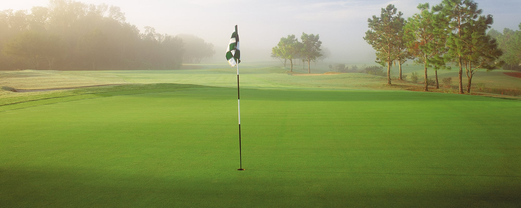 Golfart